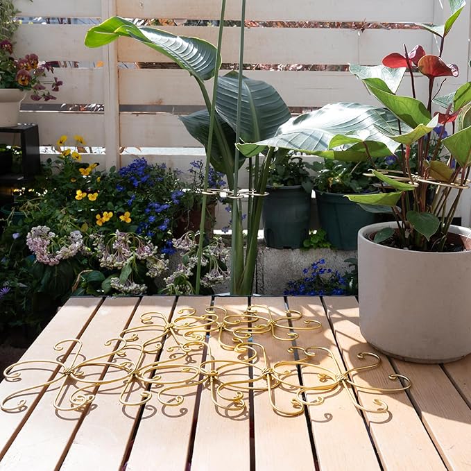 5PCS Monstera Plant Stem Support Stakes - 5.5 * 5.5IN Metal Supports for Monstera and Fishbone Cactus, Sturdy Frame, Easy Installation, Flexible Protection for Healthy Growth Indoors