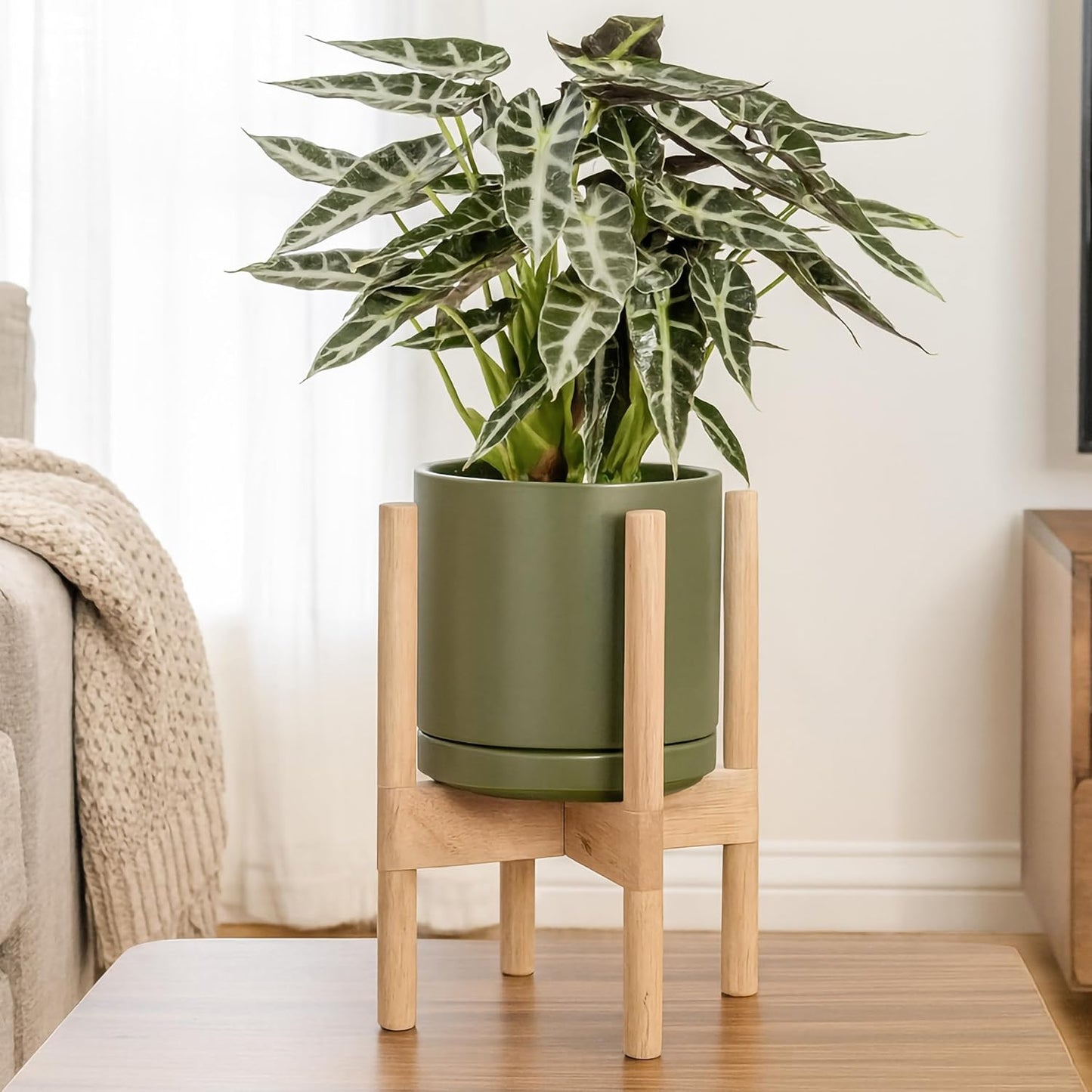 D'vine Dev Ceramic Planter with Natural Stand - 8 Inch Modern Round Flower Pot with Wood Planter Holder, Olive, 55-B-N-J