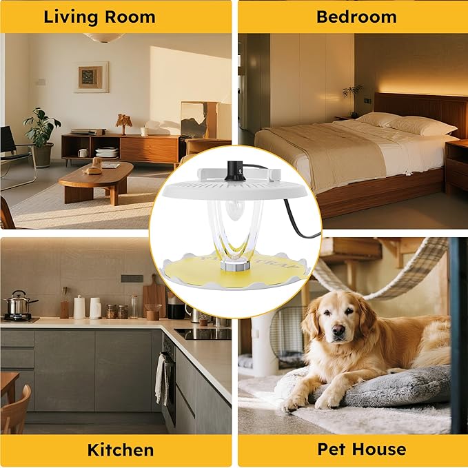 Flea Trap for Inside Your Home Indoor Electric Flea Light Catcher and Kiler for House 2 Pack with 8 Sticky Pads Refills and 4 Replacement Lightbulb
