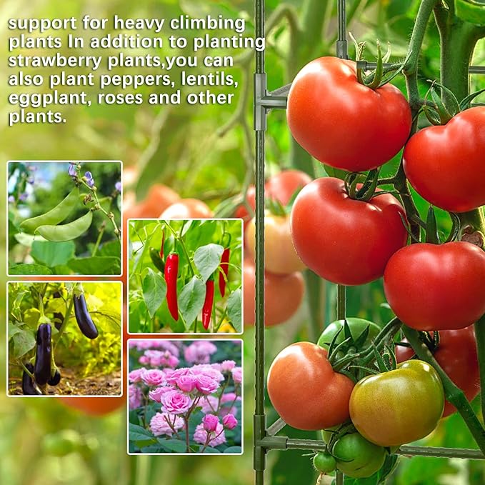 arbxvnrUp to 48.8in Square Tomato cage Garden mesh Plant Support Posts, quadrangular Adjustable Tomato Stand Pot Picking mesh (1pack)