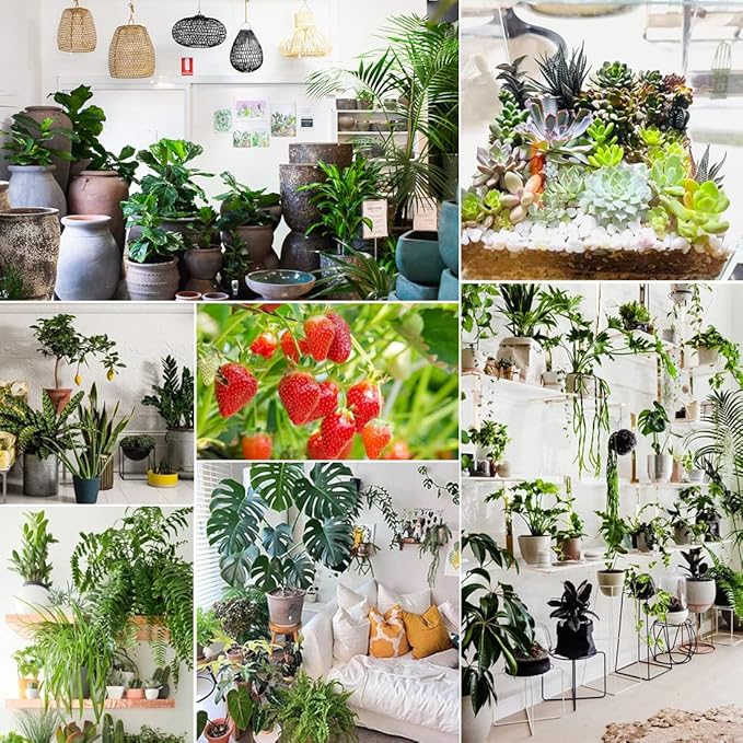 Grow Light Bulbs for Indoor Plants, Full Spectrum Grow Light Bulb, 11W LED Growing Plant Light Bulb for Seed Starting, Hydroponics, Vegetable, Flowers, Greenhouse, 100W Equivalent, A19, E26, Pack of 6