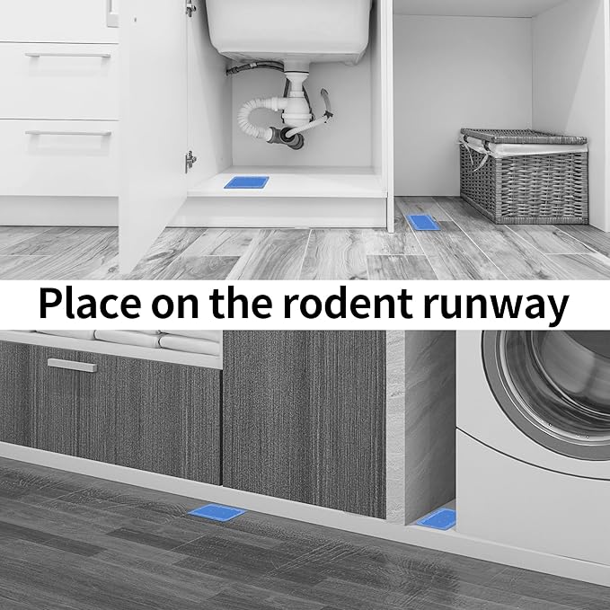 LULUCATCH Mouse & Insect Glue Traps, 10 Pack Pre-Scented Sticky Mouse Traps Indoor for Home, Non-Toxic Glue Boards for Mice, Cricket, Roach, Lizard, Bug, Pet Safe for House & Garage