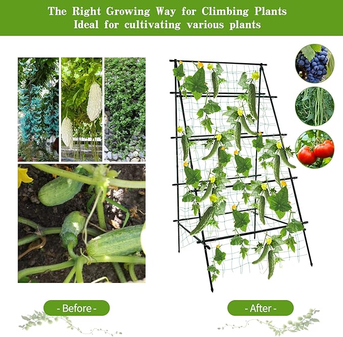 Cucumber Trellis 69.8" H x 36" W, A Frame Garden Trellis for Raised Bed Climbing Plants Metal+PE Coated Grow Support for Vines, Vegetables