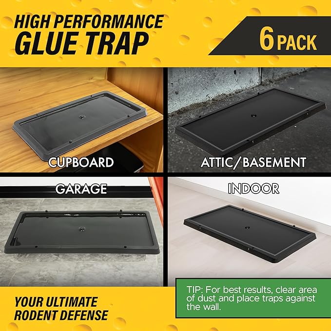 Glue Traps for Mice,Rat,Mouse,Snake,Lizard,Insect. 6 Pack. Extra Strength,Pre-Baited Adhesive.Heavy Duty Plastic Tray.Non-Toxic,Chemical-Free Pest Control for Home. 6Pack