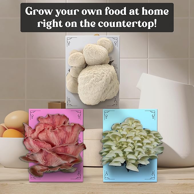 3 Pack Mushroom Grow Kit | USDA Certified Organic | Grow Your Own Delicious Gourmet Mushrooms at Home