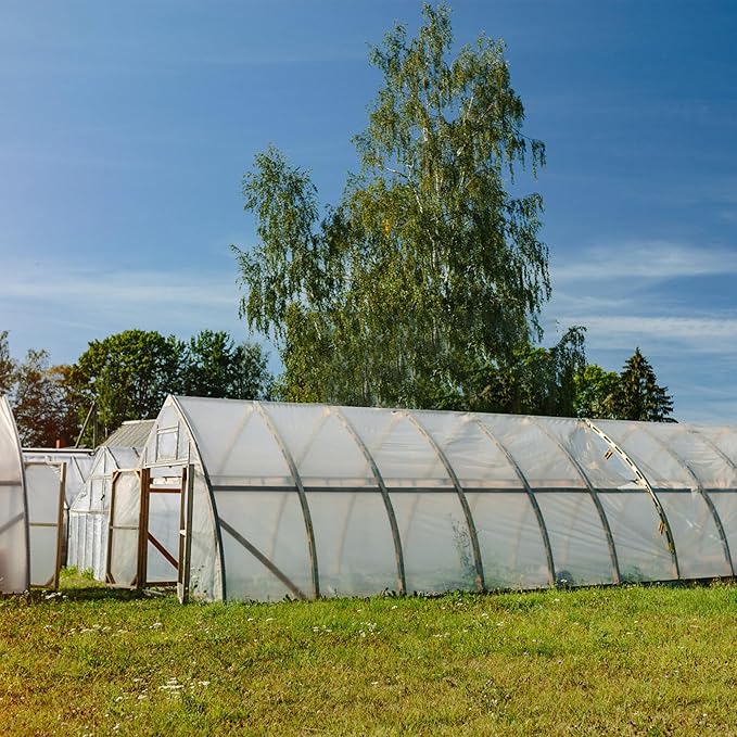 Greenhouse Film 25 x 40Ft Greenhouse Plastic Plant Covers Freeze Protection UV Resistant PE Clear Film for Plants Dust Proof Resist Cold Weather Heavy Rainfall Strong Winds