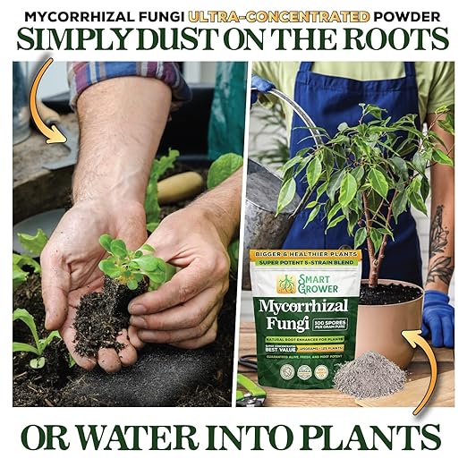 Mycorrhizal Fungi Organic Root Enhancer for Plants, Super Potent 100 Spores Per Gram, 5-Strain Blend, Rapid Results for Gardens, Houseplants, Lawns, Mycorrhizae Smart Grower 250 Grams for 250 Plants