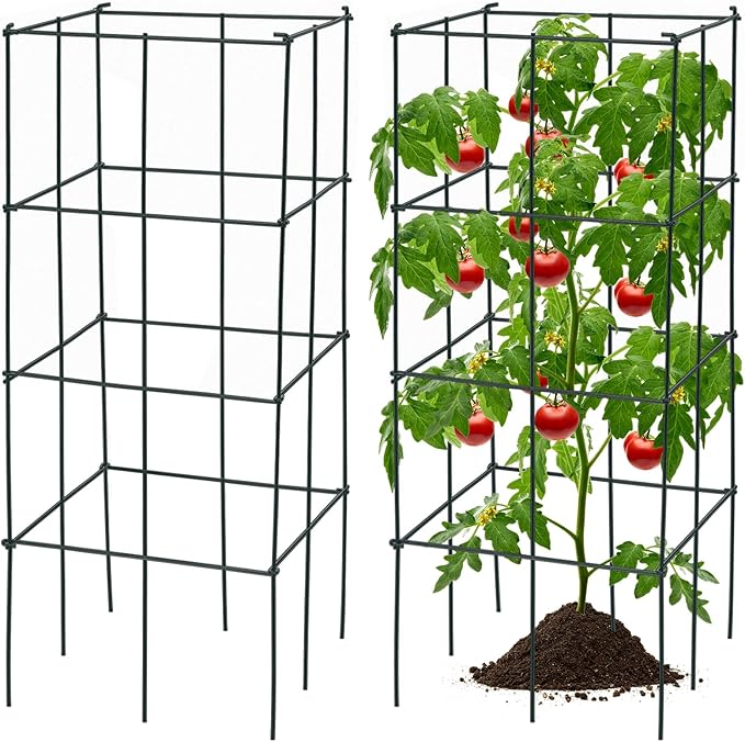 S AFSTAR 8 Pack Folding Tomato Cages, 39 Inches Tall Square Plant Support Cage for Garden Climbing Plants Flowers Fruits, Heavy Duty Tomato Vegetable Trellis