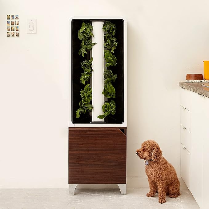 Just Vertical EVE Indoor Hydroponic Garden | Modern Furniture-Style Vertical Planter | Grow 12 Fresh Herbs & Vegetables Year-Round | Self-Watering, Energy-Efficient LED, Compact Design
