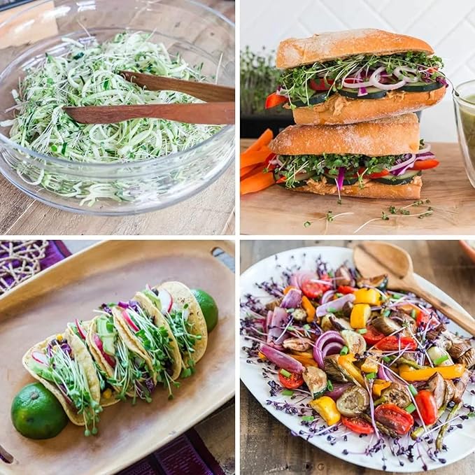 HAMAMA Microgreens Growing Kit Broccoli & Salad - Indoor Sprouts Mat - Seed Quilts Easy Setup Pack of 2 - Plastic Tray and Bamboo Frame