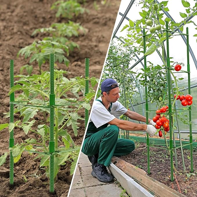 Halatool 8 Pack Tomato Cages for Garden, Up to 48in(4FT) Adjustable Tomato Cage,Garden Stakes Tomato Trellis for Pots, Green Tomato Plant Support with Snap-On Arms for Vegetables Plants(6 Buckles)