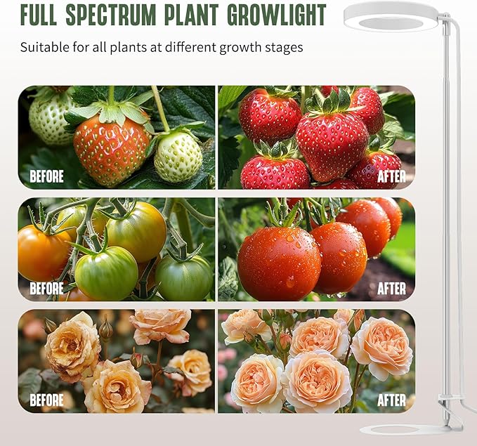 GLOWRIUM Grow Lights for Indoor Plants, LED Full Spectrum Growing lamp, 10 Level Dimmable, 3/9/12H Timer, 9-24 Inches Height Adjustable, Suit for Desk Succulents Mini Small Plants (White-Desk Style)