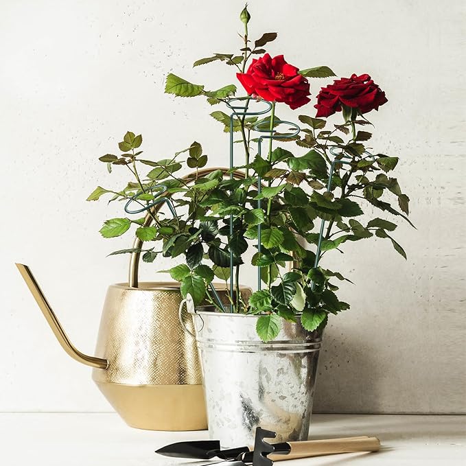 Plant Stake Support - 12 Pack, Garden Single Stem Support Stake Plant Cage Support Rings, Plant Support Stakes for Indoor Plants,for Flowers Phalaenopsis Rose (15.74 inch)