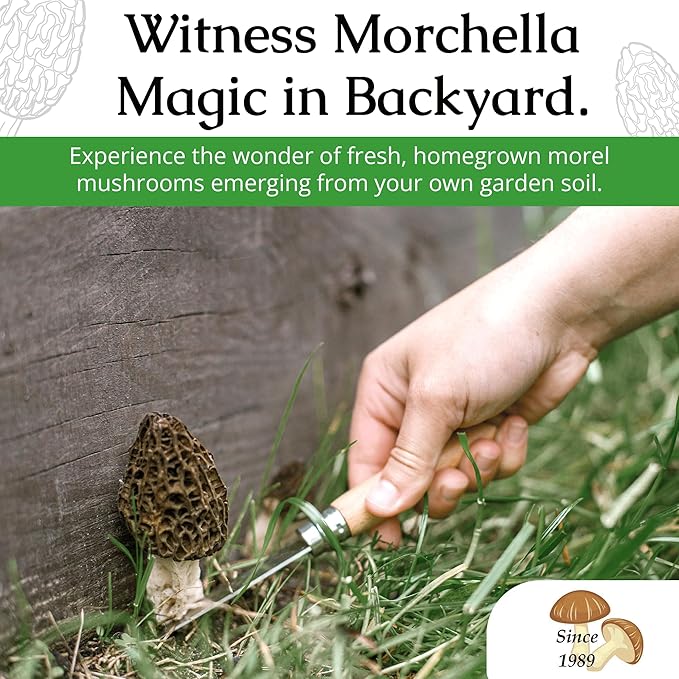 MOREL HABITAT KIT® Morel Mushroom Growing Kit (Morchella esculenta), Compatible with Any Soil Type Across The U.S., Outdoor Garden & Backyard Cultivation Set with Full Instructions - Made in The USA