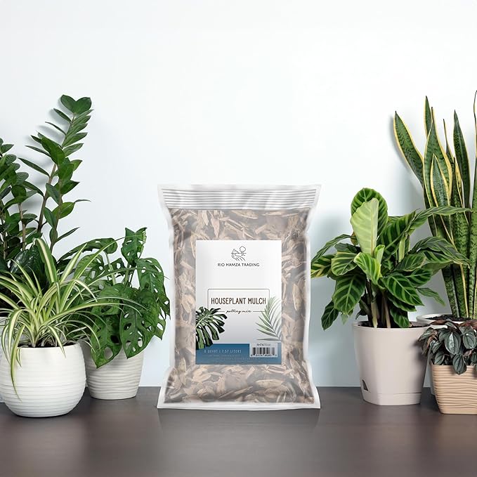 Houseplant Mulch (8 Quarts), Small Bark Wood Chips for Indoor, Patio, Potting Media, and Much More!