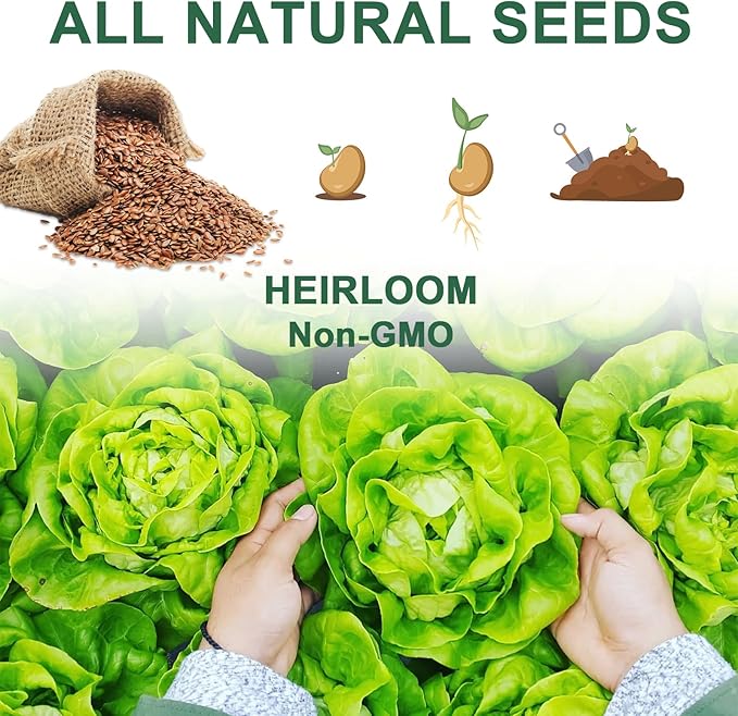 Lettuce Seed Pod Kit Included Romaine, Bibb Lettuce, Boston Lettuce, Red&Green Leaf, Grow Anything Seed Starter Pod Kit for Hydroponics Growing System with Plant Food and Accessories (8-Pod)