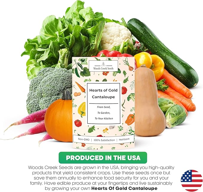 Hearts of Gold Cantaloupe Melon Seeds for Planting - Over 90 Heirloom Non-GMO Cantaloupe Seeds for Planting - Beginner Friendly Fruit Seeds for Home Gardening