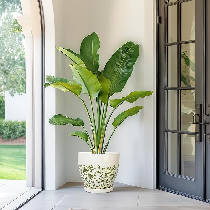 10 Inch Plant Pot - Ceramic Planter with Drainage Hole and Saucer, Boho Round Decorative Flower Pot for Indoor Plants, Housewarming Gifts, Office Garden Home Outdoor Decor, White