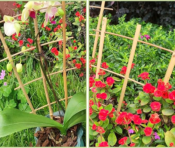 16Inch 5Pack Bamboo Trellis for Climbing Plants, Garden Ladder Trellis for Potted Plants Indoor, Fan Shaped Small Plant Support Trellis for HousePlants Ivy Vine Monstera 3-4