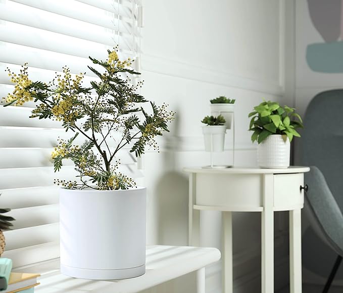 D'vine Dev 6 Inch 6.5 Inch 8 Inch, Set of 3 Plastic Planter Pots for Plants with Drainage Hole and Seamless Saucers, White Color, Medium, 74-V-A-3