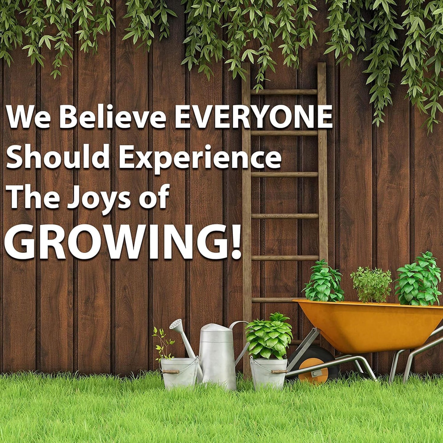 Thai Ornamental Hot Pepper 0.25 Oz ~3,000 Seeds β Non-GMO, Heirloom, Open-Pollinated β 50Kβ100K SHU β Compact, Upright Plants β Edible & Decorative β Heat-Tolerant