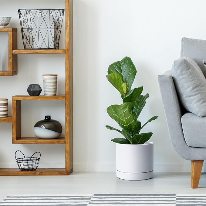 Phoenix Vine 8 Inch Planter Pot with Drainage Hole & Saucer, Deep Water Catch Tray, Straight Cylindrical Round Pot for Plants, Matte White, Pack of 2, 23-B-T-2