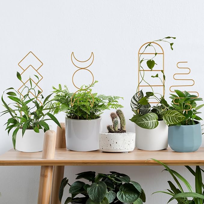 Indoor Plant Trellis for Potted Plants, 16inch Gold Small Trellis for Climbing Plants Outdoor Garden Metal Trellis with Different Patterns for Vine Ivy Flower Plant Support 4 Pack