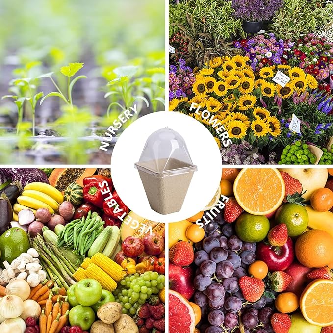 40 Pcs Square Biodegradable Seed Starter Pots with Humidity Dome - 3.1 Inch Square Planter for Outdoor Garden Vegetable Flower Germination