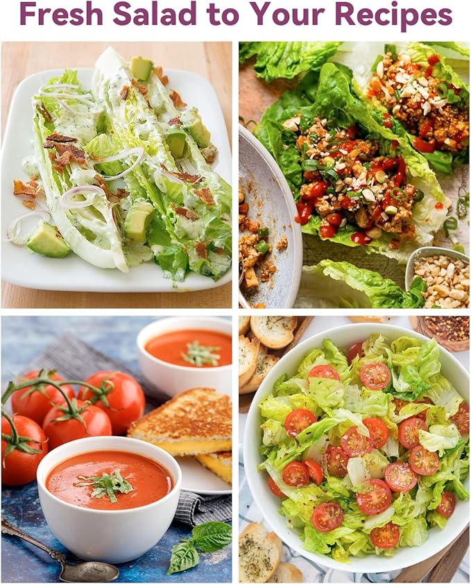 Salad Seed Pod Kits for AeroGarden, Ahopegarden, iDOO Hydroponics Growing System Herb Garden, 400+ Seeds, Including American Fast Lettuce, Buttercrunch Lettuce, Red Cherry Tomato(16-Pods)