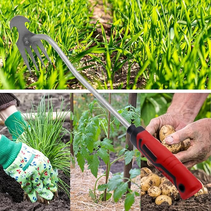 Generic 2PCS Weed Removal Tool, Garden Weeding Tools Manganese Steel Hand Weeder Tool with Rubber Handle, 4 Teethes Dual Purpose Manual Weeders Tool Weed Pulling Tool for Garden