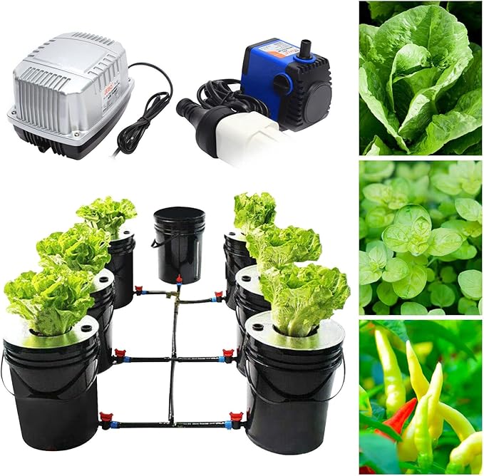 DWC Hydroponics Grow System, 6 Hydroponics Grow Bucket 20L DWC Recirculating Deep Water Culture 6 Air Stones for Indoor/Outdoor Leafy Vegetables