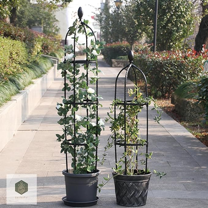 GardenPal Rustproof Metal Pipe Garden Obelisk Trellis, Tomato Cage and Plant Support for Climbing Plants, Potted Tall Plant Stakes for Vine Vegetable Flower Support Outdoor Indoor - 1 Pack