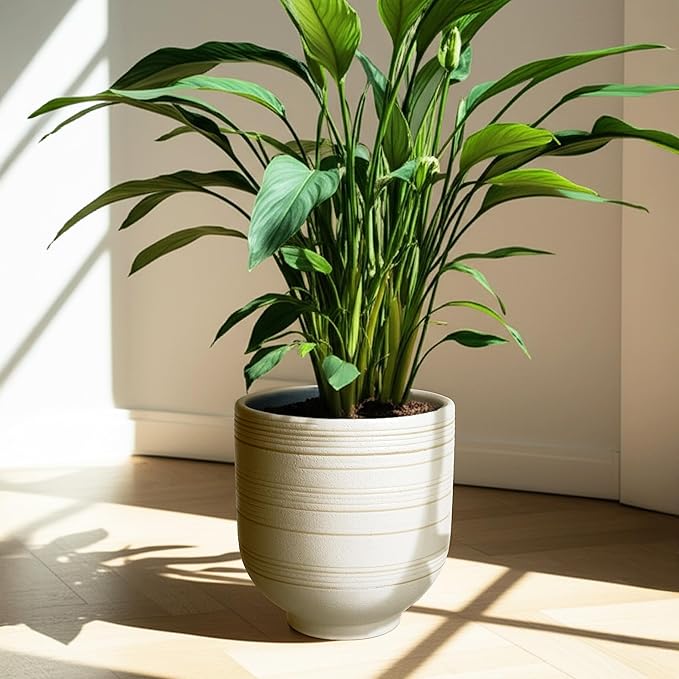 10 Inch Ceramic Planter with Drainage, Large Indoor Planter for Olive Trees, Artificial Trees & More, Mid - Century Modern Design Ideal as Housewarmings