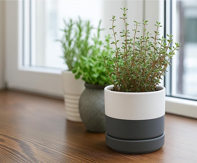 D'vine Dev 3.5 Inch & 4.7 Inch Ceramic Planter Pots for Plants with Drainage Hole and Saucer, X-Small Plant Pots Set, White/Speckled Grey, 94-G-XS-6