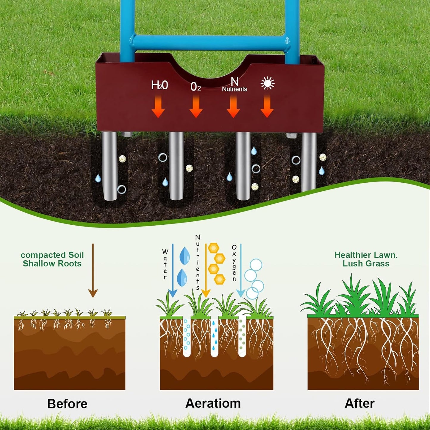Sancat Lawn Aerator with Larger Soil Core Storage Tray, Heavy Duty 38” Coring Aerator,Manual Rolling Plug Aerator, Gardening Tools with 4 Stainless Tines for Lawn Care