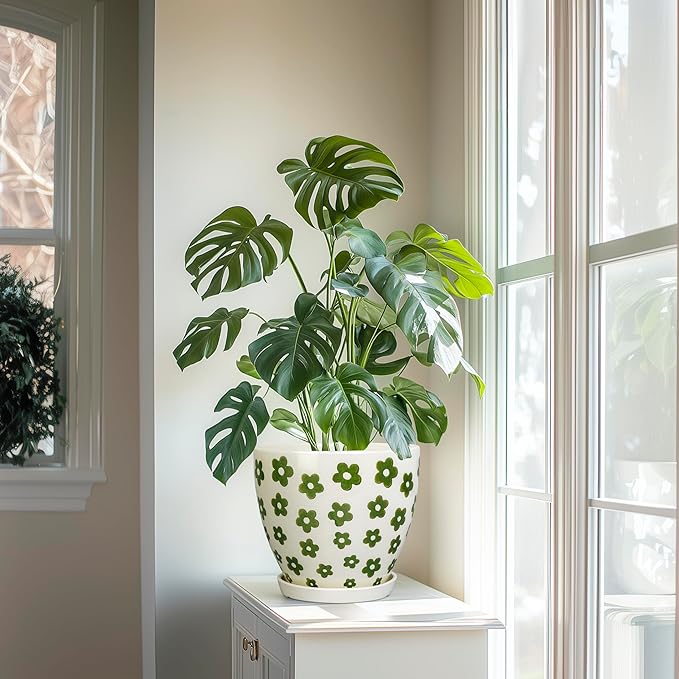 8.2 Inch Plant Pot - Ceramic Flower Pot Indoor with Drainage Hole and Saucer, Boho Round Decorative Planter for Indoor Plants, Housewarming Gifts, Office Garden Home Room Decor, White