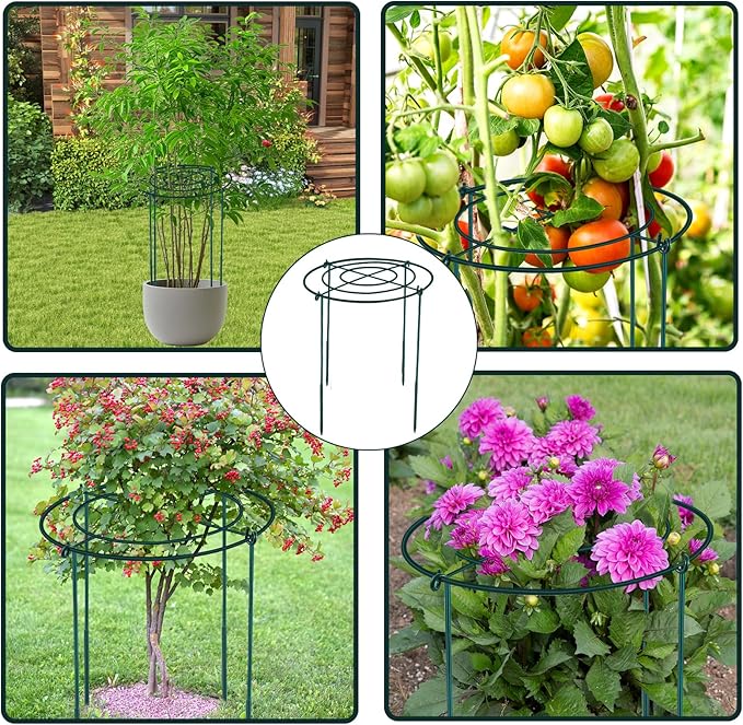 2Set Metal Peony Grid Cages, 30"H X 14"D Large Flower Support Cages Grow Through Hoop Ring Peony Stakes Garden Plant Support Rings Heavy Duty Plant Braces Peonies Structure for Outdoor Plants Blossoms