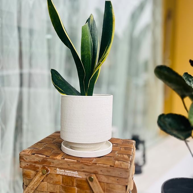 Nihow 5.7 Inch Plant Pot, Ceramic Pots for Plants with Drainage Hole and Saucer, Plant Pots Indoor for Home Garden Patio Office, Cylinder Planters for Indoor Plants, White