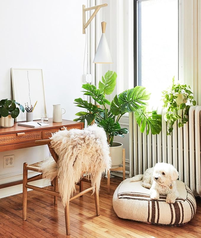 Hanging Grow Light, 20W Full Spectrum Pendant Grow Lights 15FT Power Cord, Decorative Grow Light for Indoor Plants, Flowers, Garden (Ceiling Mounted Hooks&Wall Mounted Bracket Included