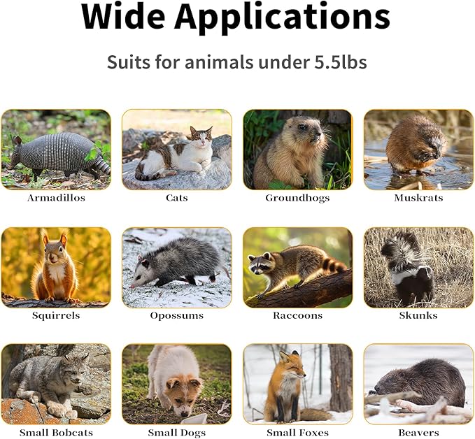 26" 2-Door Live Animal Traps for Stray Cats up to 5.5 pounds, Raccoons, Squirrel, Skunk, Mole, Groundhog, Armadillo, Rabbit, with Pedal Triggers