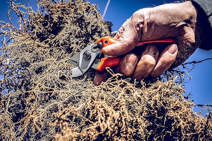 Original LÖWE 15 Anvil Pruning Shears 15.107 with Bypass Geometry for Small to Medium Hands - Curved, Non-Stick Coated Blade Ideal for Cutting Hard Wood like Linden, Spruce, Larch, and Oak