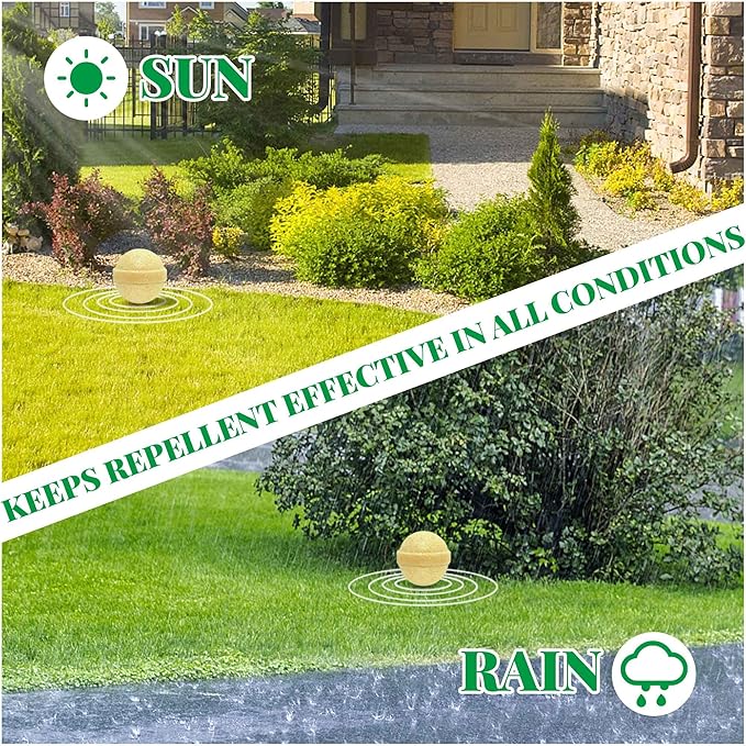 24 Pack Natural Mouse Repellent Peppermint Oil for Repels Mice & Rats, Repellent for Mice Repellent Outdoor & Indoor, Used for Car Engine, RV, Home & Kitchen, Lawn and Garden, Safe for Humans & Pets