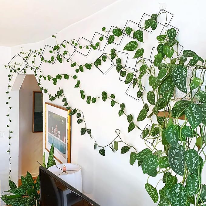 2 Pack 36pcs Chain Trellis for Climbing Plants Indoor & Outdoor, Garden Wall Plant Trellis Plant Vine Support Houseplant Accessories and Plant Gifts for Vine, Ivy, Monstera,Pothos