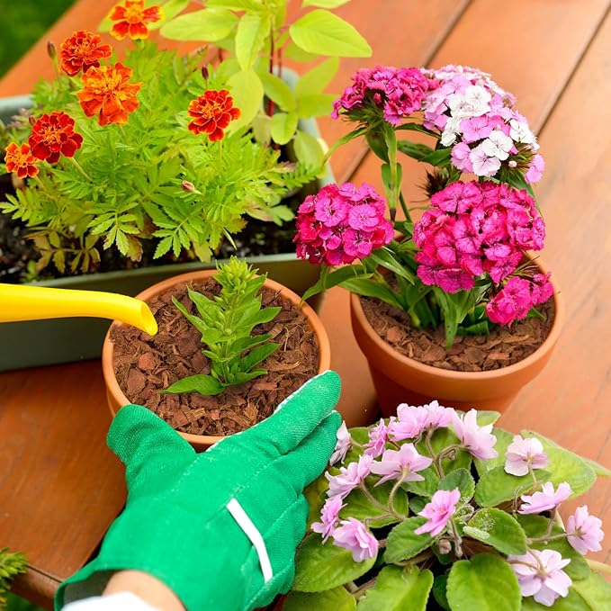 Halatool 10 Pcs Coco Husk Chips for Plants - 11 LB 100% Organic Coconut Coir Chips with Low EC and pH Balanced, Compressed Coco Substrate Growing Mulch Medium for Landscaping, Herbs, Plants, Flowers