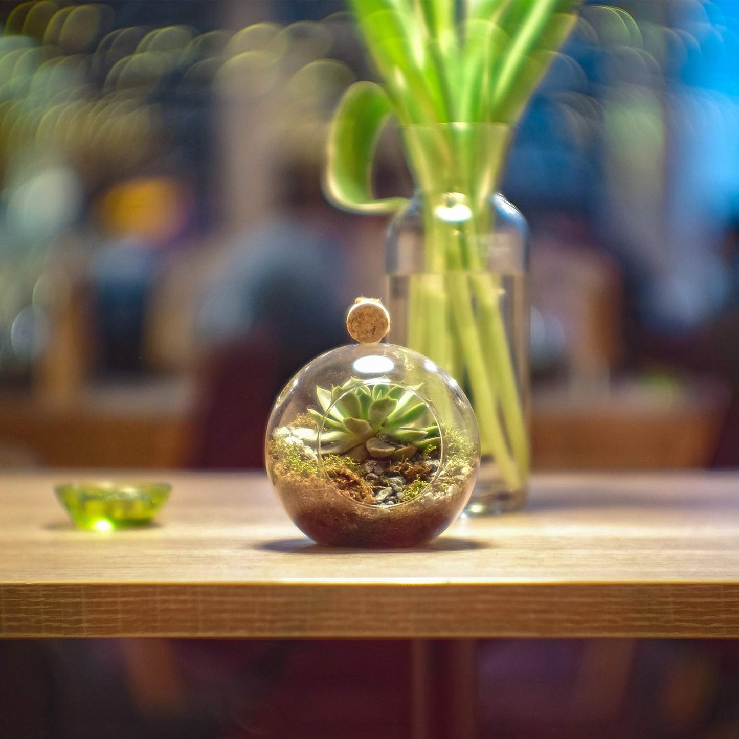 WGV Hanging Terrarium Globe, Width 6", Height 6.5", DIY Air Succulent Planter, Clear Glass Vase Orb with Flat Bottom, Candle Holder for Windowsill Outdoor Garden Decor, 6 Pieces Bulk