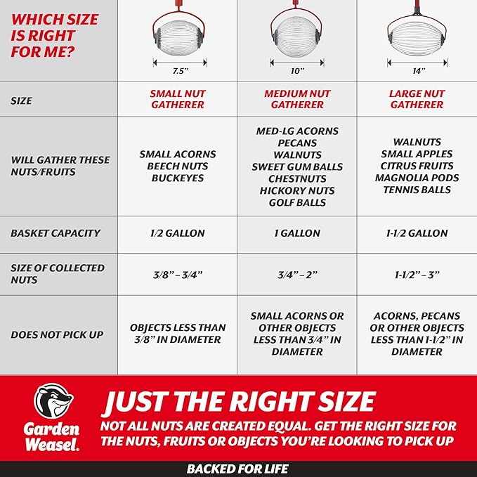 GARDEN WEASEL Large Nut Gatherer Roller – Nut Collector Tool for Walnuts, Sweet Gum Balls, Tennis Balls and More – Yard Picker Upper with Durable Cage and Ergonomic Handle - Newest Model