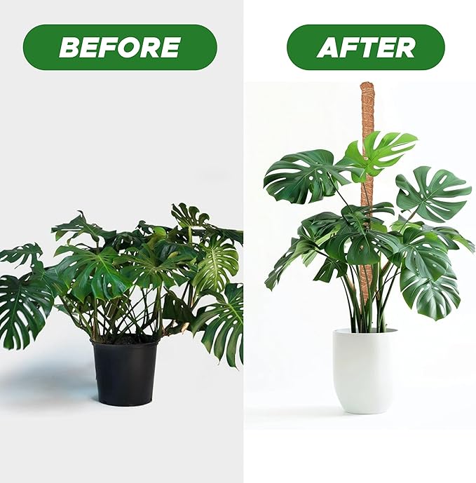 EcoNour Tall Moss Pole for Plants (2-Pack) 48-Inch | Large Monstera Plant Support for Climbing and Growth | Elevate Your Indoor Garden | Tall Plant Support for Indoor Potted Plants to Grow Upwards