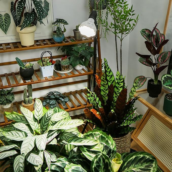 SANSI Grow Lights for Indoor Plants, Dimmable Br30 40W Plant Lights for Indoor Growing, 35.8"-47" Adjustable Tripod Standing Grow Light Plant Light with Remote Control Auto On/Off Timer