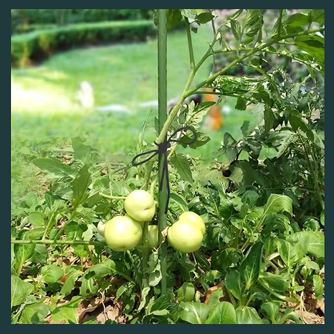 Garden Stakes 24 Inch Pack of 30, Plastic Coated Metal Plant Stakes, Plant Support Sticks for Tomato, Climbing Plants, DIY Garden Trellis