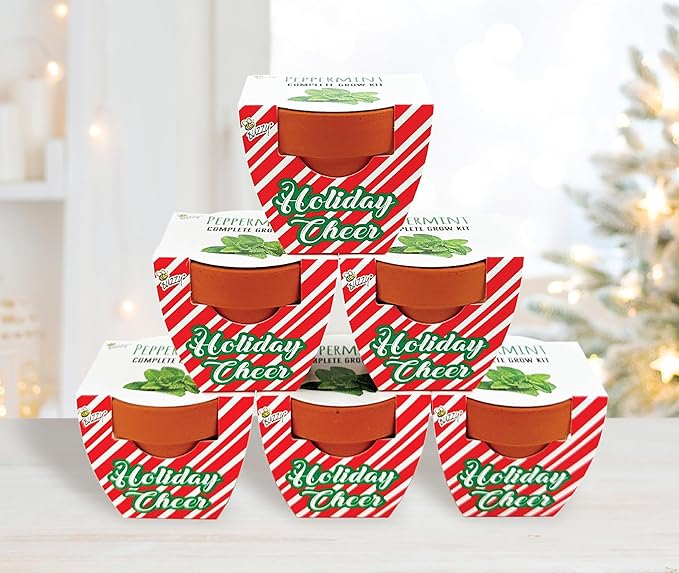 BUZZY Seeds Terracotta Holiday Mini Grow Pot Candy Cane | Peppermint 6-Pack | Herb, Plant Starter Kit for Kids & Adults | Guaranteed to Grow | Best Indoor Gardening Gifts, Favors, Stocking Stuffers